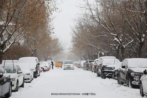 哈尔滨下雪爆料视频播放,冬日浪漫瞬间引网友热议